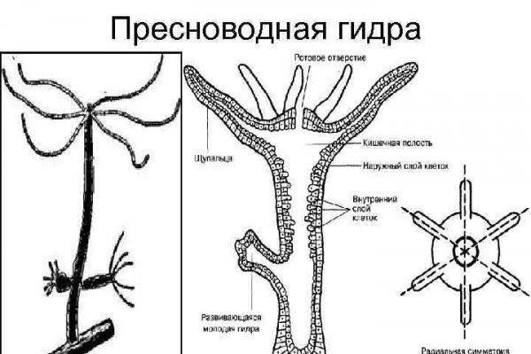 Как вывести деньги с блэкспрута